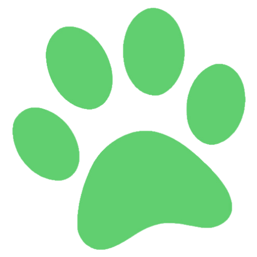 synthetic turf cleaners, synthetic turf cleaning products, how to clean synthetic turf