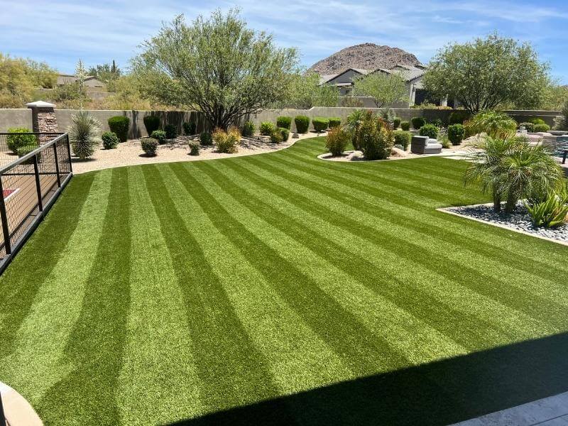 Yard example before